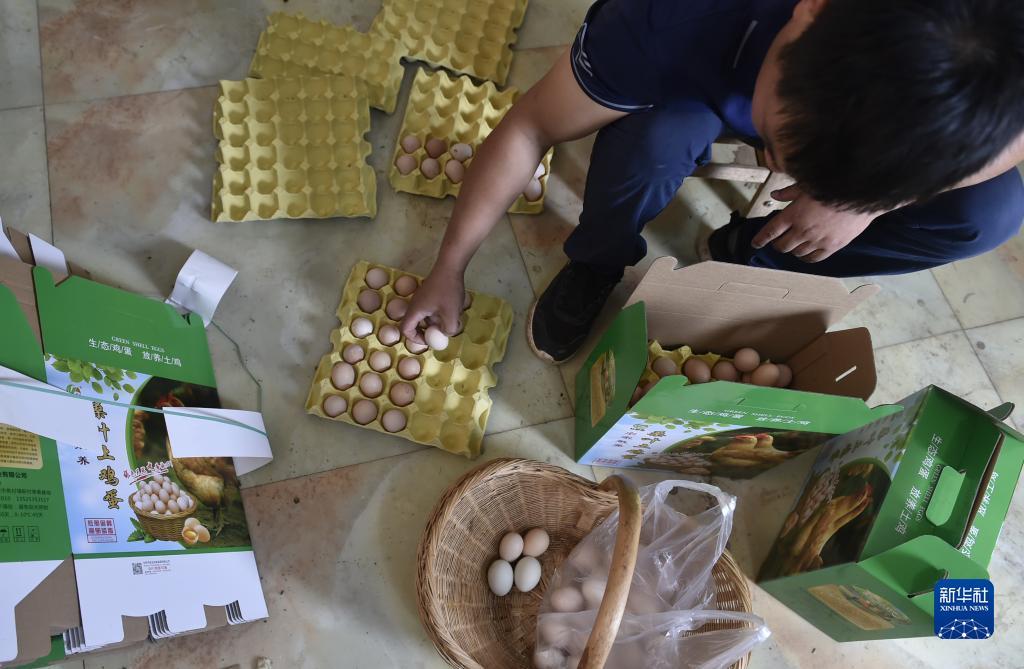 捕鱼送分